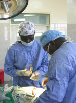 Zambian Health Information Portals